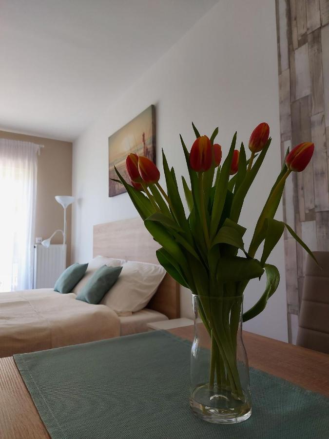 Bike & Spa Velence Apartman Eksteriør bilde